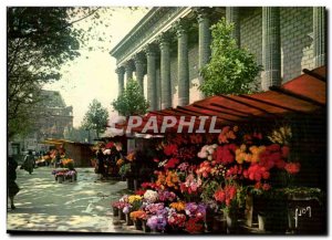 Paris 8 - Marche aux Fleurs Madeleine Old Postcard