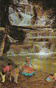 Jamaica Scene At Dunns River Falls