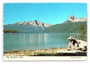 Postcard Continental View Big Red Fish Lake Idaho Royal Mogul Mt. Heyburn