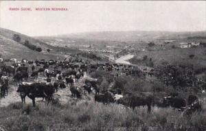 Ranch Scene Western Nebraska