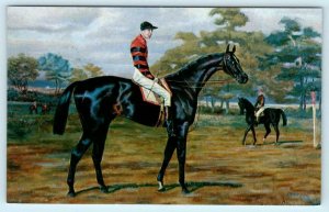 American Bred Horse IROQUOIS 1881 Winner of ENGLISH DERBY ca 1960s Postcard