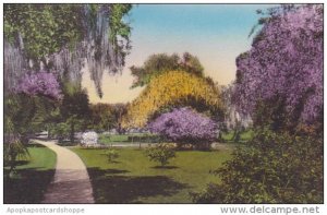 Florida Sebring Walk Through East Grounds Kenilworth Lodge Highland County Al...