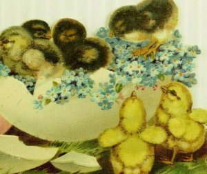 1880's-90's Embossed Die-Cut Easter Card Hatching Baby Chicks Colored Eggs 7P
