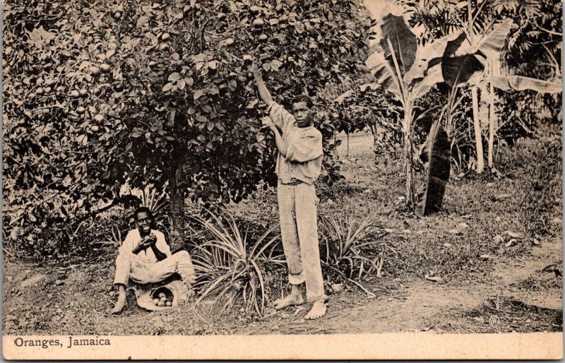 Three Postcards Views Scene Oranges Gordon Town Jamaica