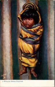 Native Arizonians A Walapai Indian Papoose Raphael Tuck Oilette Postcard W3