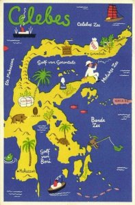 indonesia, CELEBES SULAWESI, Map Postcard, Turtle Tortoise (1940s)