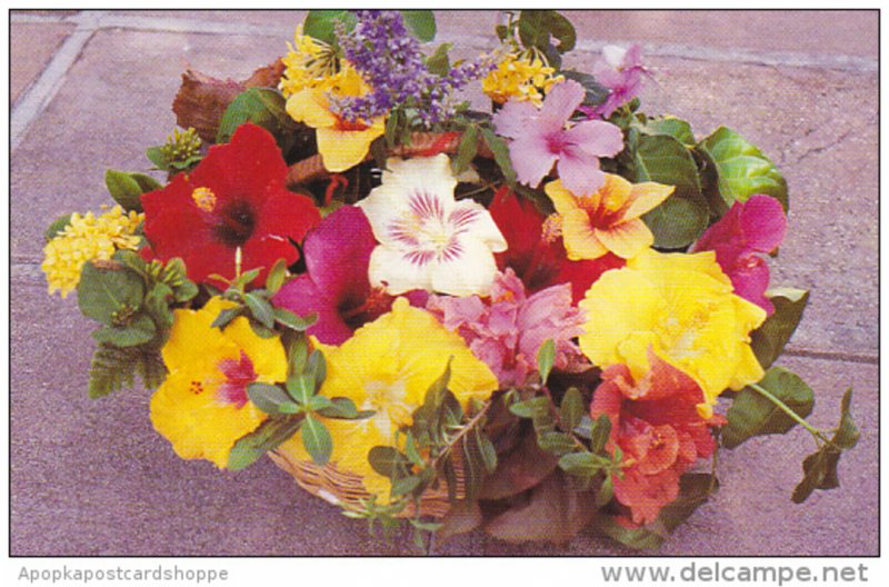 Basket Of Tropical Flowers Antigua West Indies