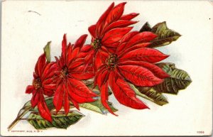 Red Poinsettias Christmas Postcard Gold Embossed DB 1908 North Platte Nebraska