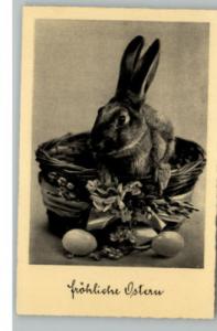 Easter Rabbit in Basket Postcard