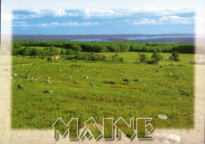 View From Caterpillar Hill  with Deer Island-Sedgwick Bridge,  Maine Postcard