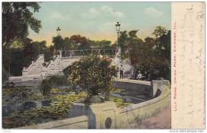 Lily Pond, Union Park, Chicago, Illinois, PU-1907