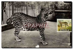 Old Postcard Felin Lyon Tete Park d & # 39Or The panther