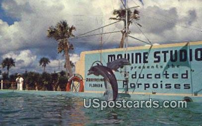 Trained Porpoises, Marine Studios - Marineland, Florida FL  
