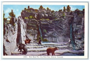 Denver Colorado CO Postcard New Bears Pit In City Park Zoo Scene c1920's Vintage