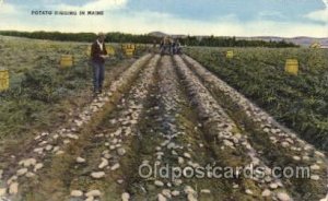 Digging Potatoes Farming, Farm, Farmer  Unused 