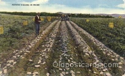 Digging Potatoes Farming, Farm, Farmer  Unused 