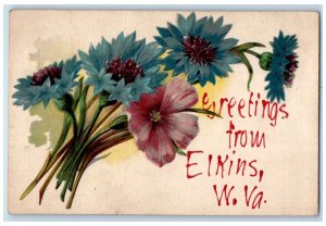 1907 Greetings from Elkins West Virginia WV Floral Posted Postcard