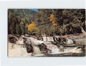 Postcard McDonald Falls, Glacier National Park, Montana