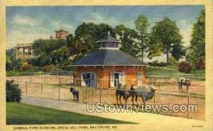 Camels, Park Mansion, Druid Hill Park - Baltimore, Maryland MD Postcard