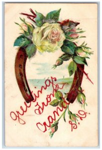 Crandon South Dakota SD Postcard Greetings Flower Glitter Embossed c1907 Vintage