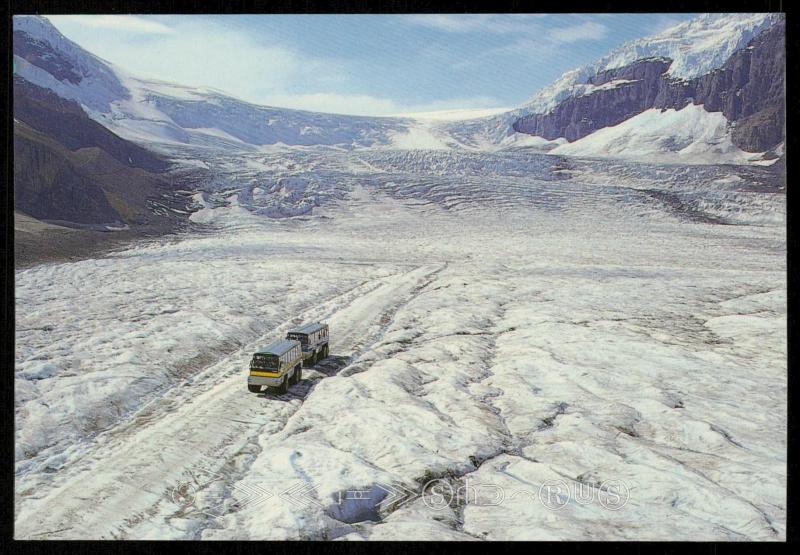 Columbia Icefields - Jasper National Park