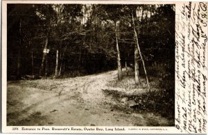 Entrance to Theodore Roosevelt's Estate, Oyster Bay Long Island, NY Postcard V27