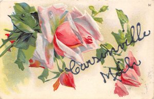 J66/ Carsonville Michigan Postcard c1910 Greetings from Carsonville  282