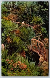 Oakland California~Schillings Gardens~Rustic Bridge~c1910 Postcard