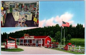 HILL CITY, South Dakota SD   Roadside  DIANNE'S GIFT CORRAL  ca 1950s  Postcard