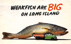 Big Fish - Long Island, New York NY Postcard