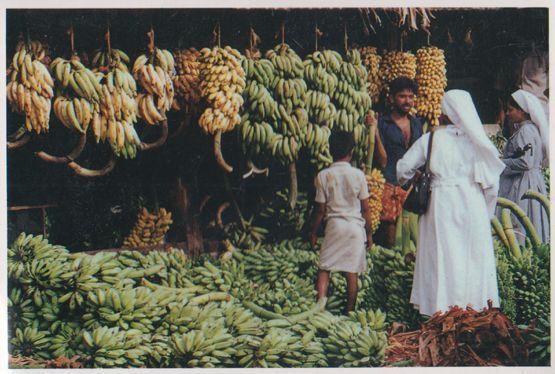 Banana Shop Kerala Indian Bananas Store Postcard
