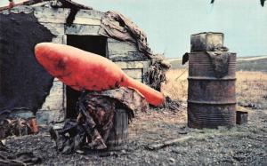 AK, Alaska   WHALE STOMACH SUN DRYING~Oil Storage Bottle   Chrome Postcard