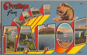 E39/ Lake Tahoe California Ca Postcard Large Letter Greetings from Lake Tahoe