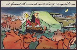 Cattle Comic Postcard