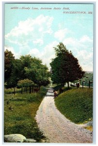 c1910's Bloody Lane Antietam Battle Field Hagerstown Maryland MD Cows Postcard