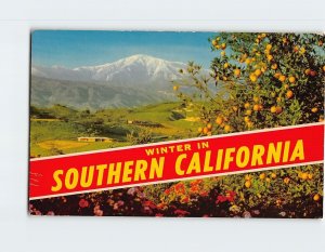 Postcard Winter In Southern California USA