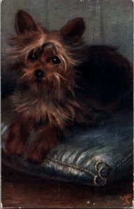 Tuck 9462, Pet Dogs, Yorkshire Terrier Vintage Postcard G66