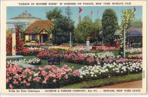 Jackson & Perkins Rose Gardens, Newark NY