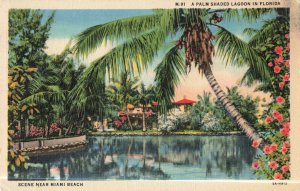 Postcard A Palm Shaded Lagoon Near Miami Florida