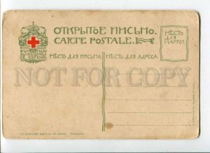 289003 KAKEMONO japanese picture FALCON russian St.Eugenie Red Cross postcard