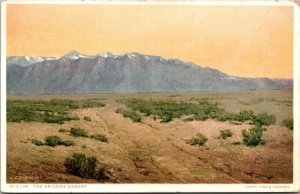 Dressler Painting Painted Desert Arizona AZ  Fred Harvey Phostint Postcard L8