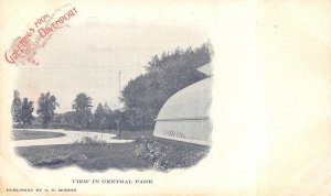 VIEW IN CENTRAL PARK DAVENPORT IOWA PMC POSTCARD (c. 1900)