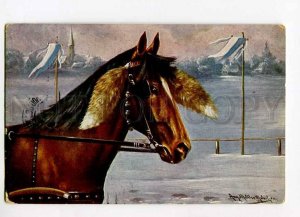 3015582 North HORSE w/ Fur on Bridle MULLER Vintage russia RPPC