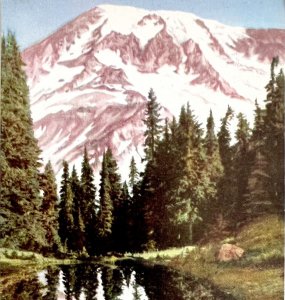 Mt Rainier National Park Washington Postcard c1960-70s Armed Forces PCBG8C