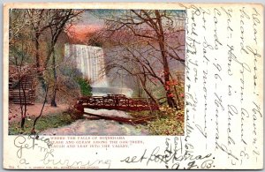 1905 Falls Of Minnehaha Washington Among Oak Trees Valley Bridge Posted Postcard
