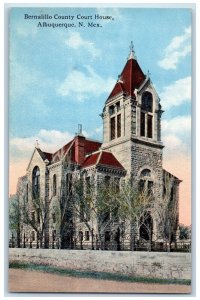 c1910 Bernalillo County Court House Albuquerque New Mexico NM Vintage Postcard