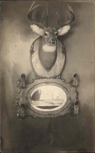 Taxidermy Hunting Mounted Deer Head & Hooves c1910 Real Photo Postcard