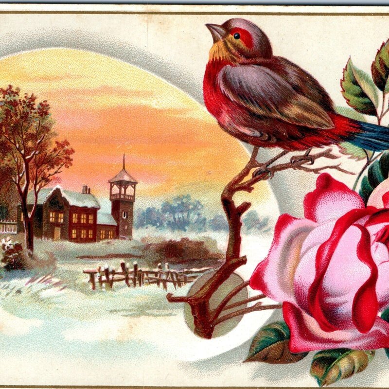 c1880s Lovely Colorful Bird Church Litho Stock 6 Trade Card Paint Palette 1L