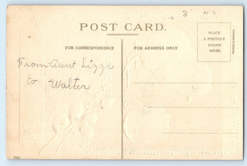 c1910's Easter Greetings Little Chick Hatched Egg Cattails Embossed Postcard