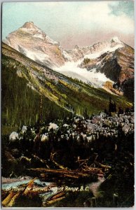 British Columbia, Canada, Mount Sir Donald, Selkrik Range BC, Vintage Postcard